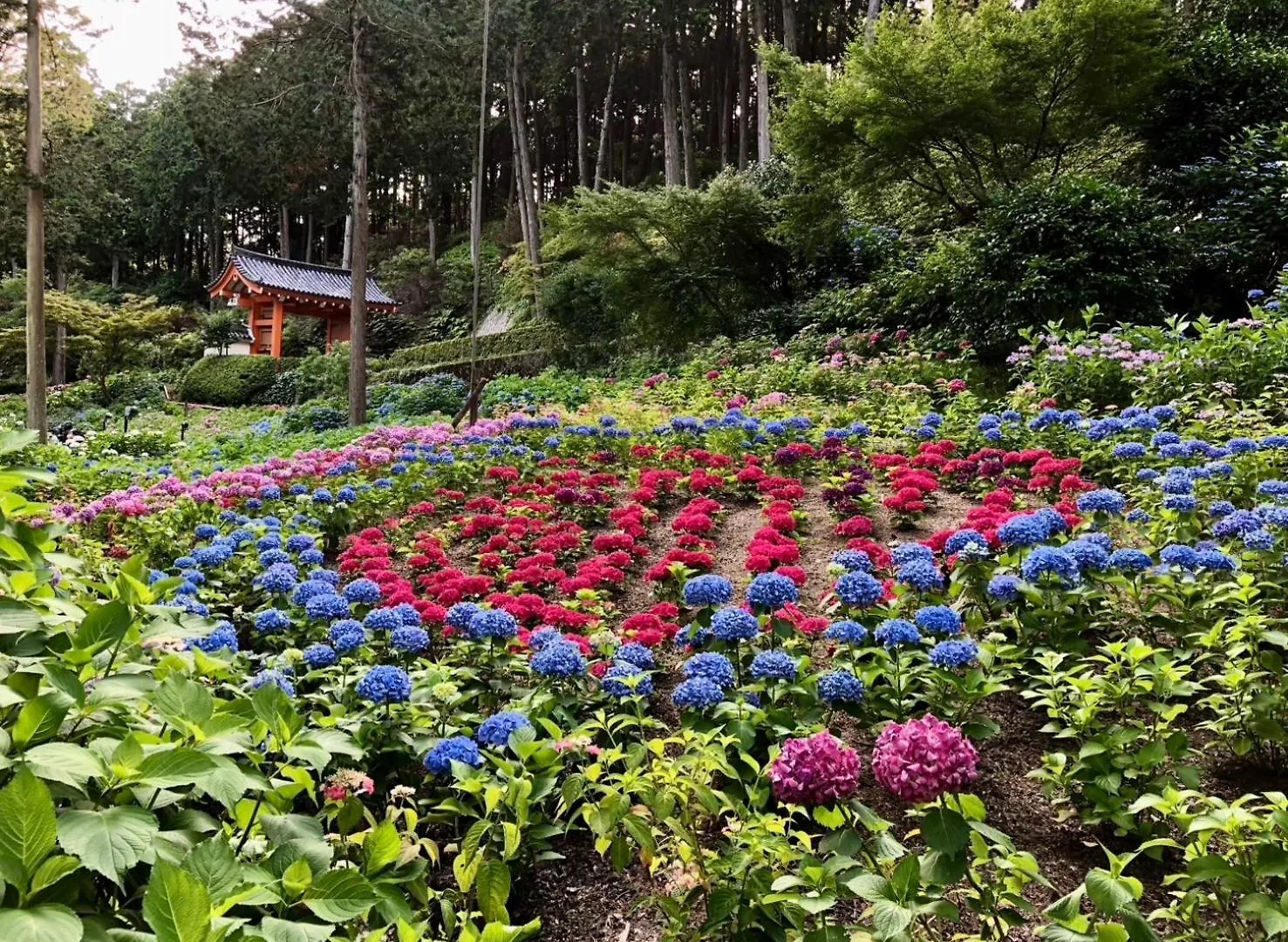 カモンイン 東寺東 Kjóto Japonsko