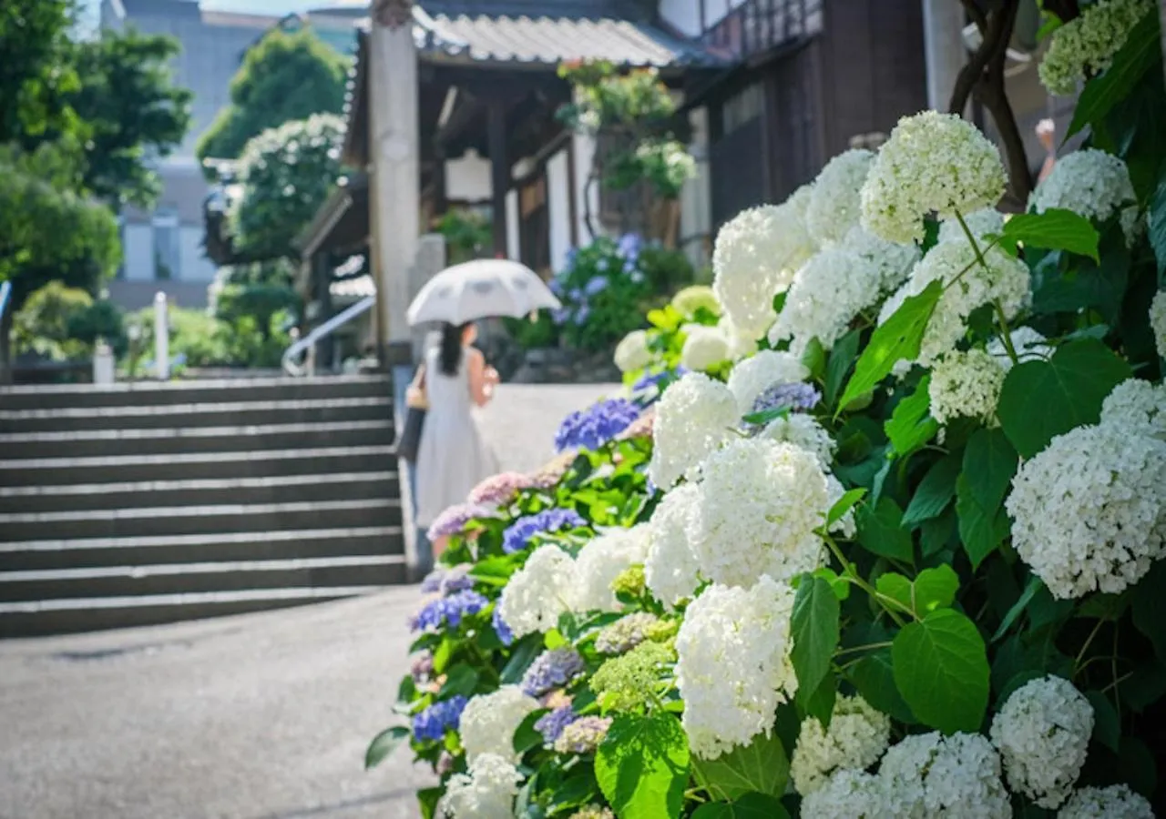 Aparthotel カモンイン 東寺東 Kyoto